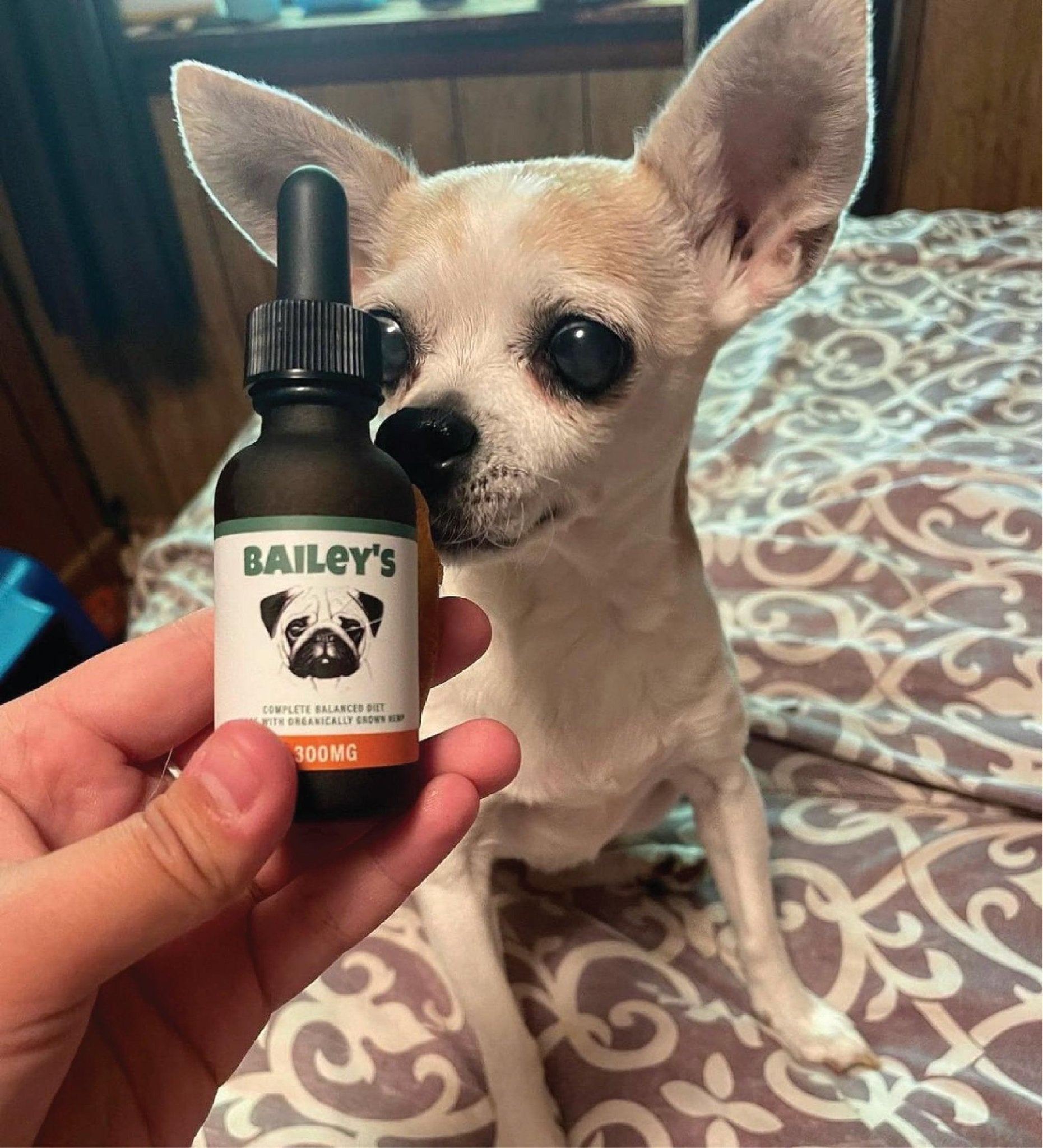Bailey's Full Spectrum CBD Oil For Dogs - Naturally Mignon CBD