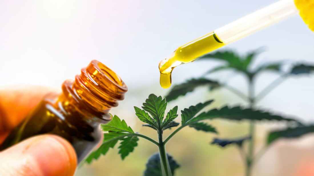 Is CBD Bad for You? - Naturally Mignon CBD