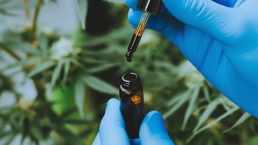 What is CBD? A Guide to Cannabidiol - Naturally Mignon CBD