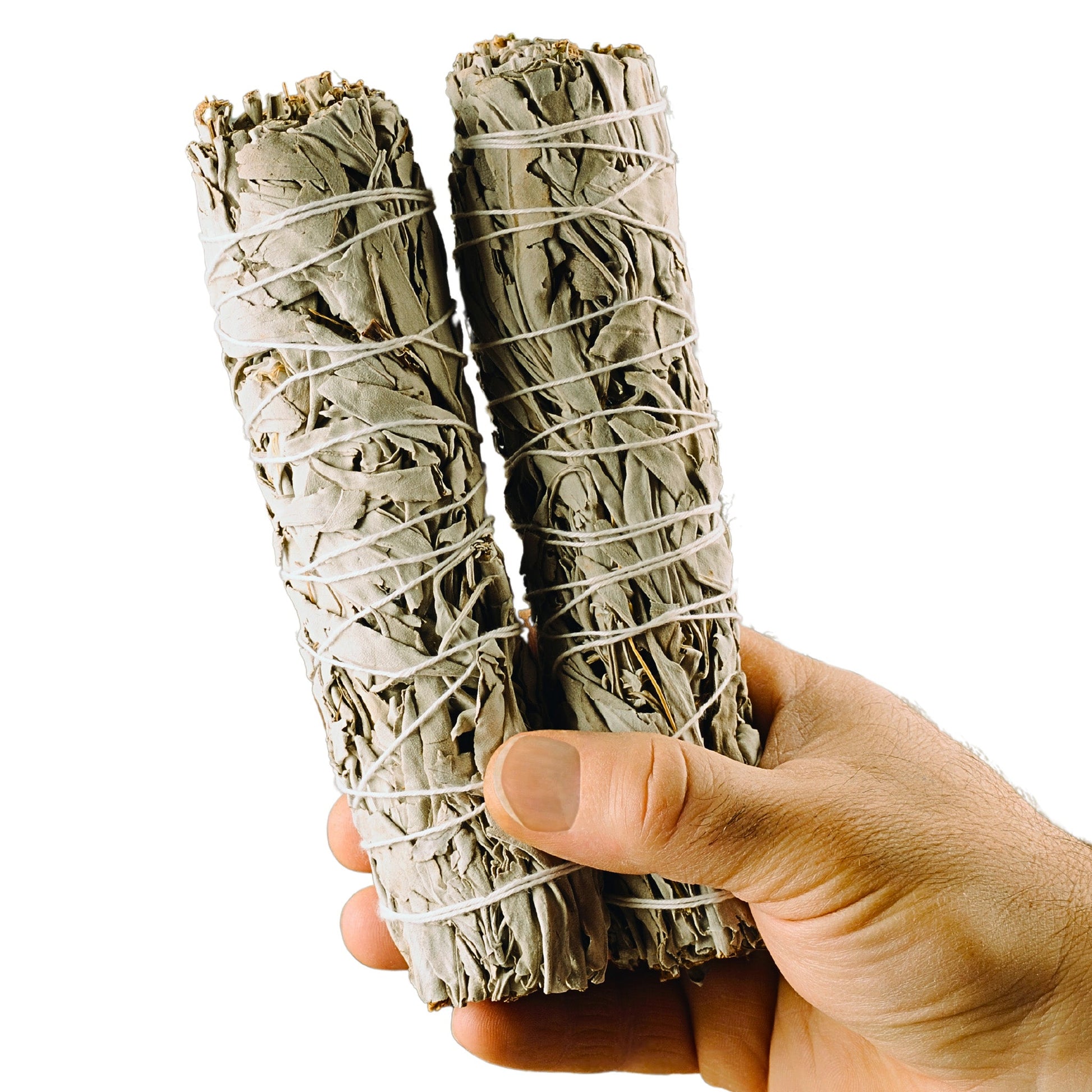 Smudge Sticks - White Sage Smudge Stick - Naturally Mignon CBD