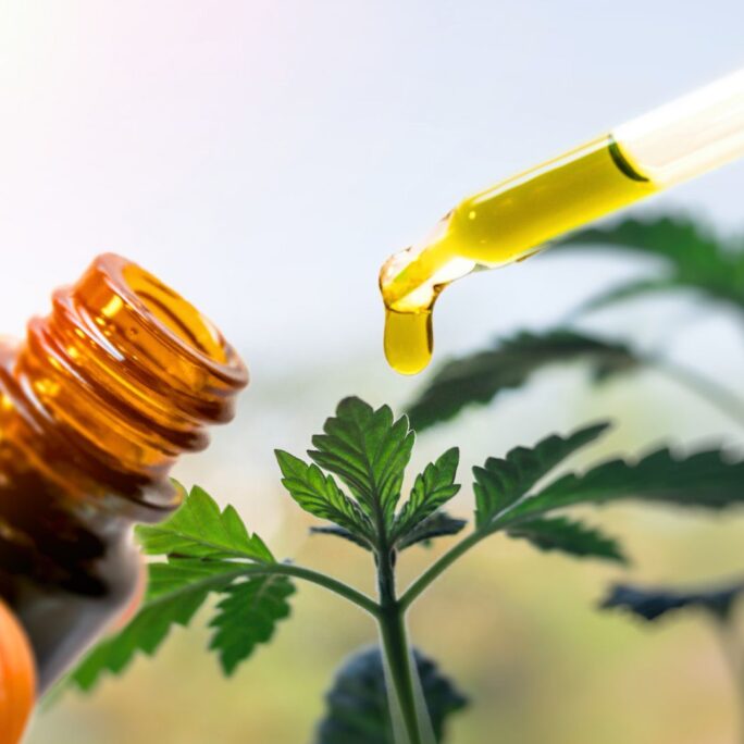 Is CBD Bad for You? 6 Is CBD Bad for You? - Naturally Mignon CBD