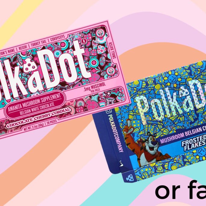 Polka Dot Mushroom Bars Real vs Fake 8 Real or fake PolkaDot Chocolate Bars