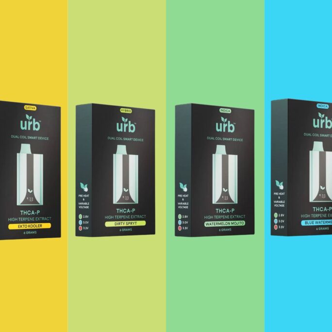 urb vapes 6g