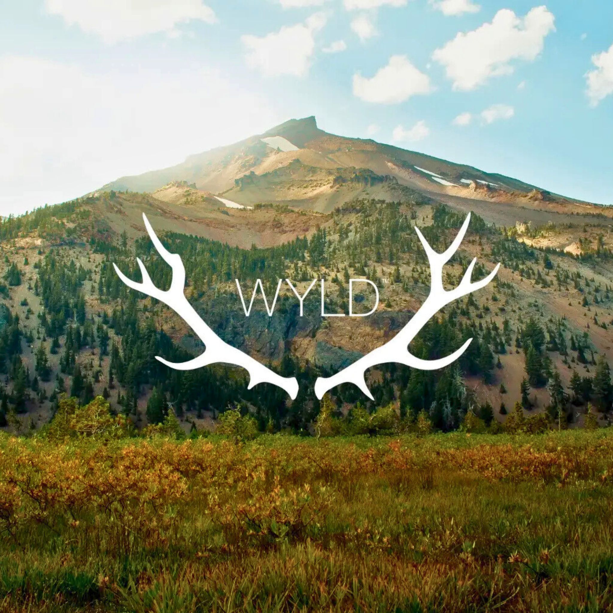 Wyld