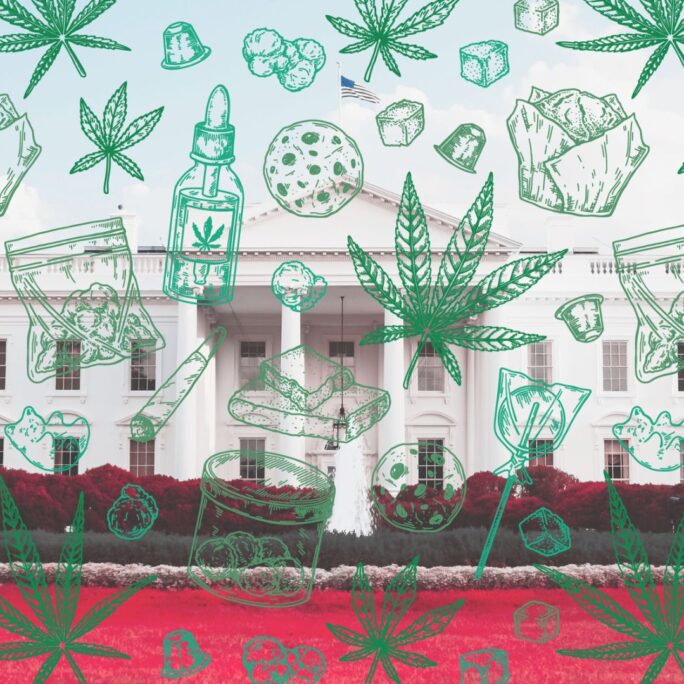 What Cannabis Trump is Endorsing - Medicare to Cover Hemp Derived CBD 7 Trump Cannabis