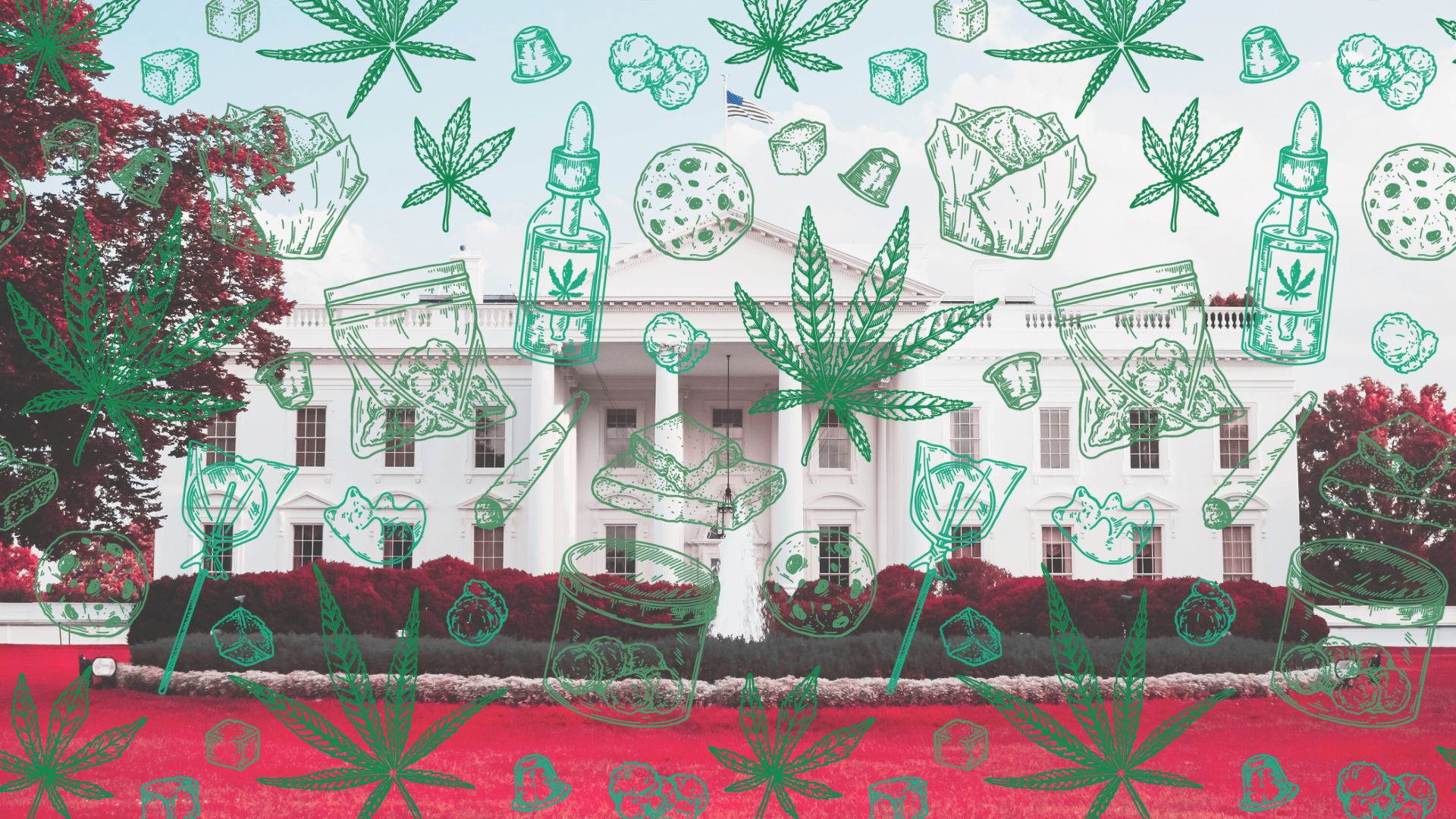 Trump Cannabis