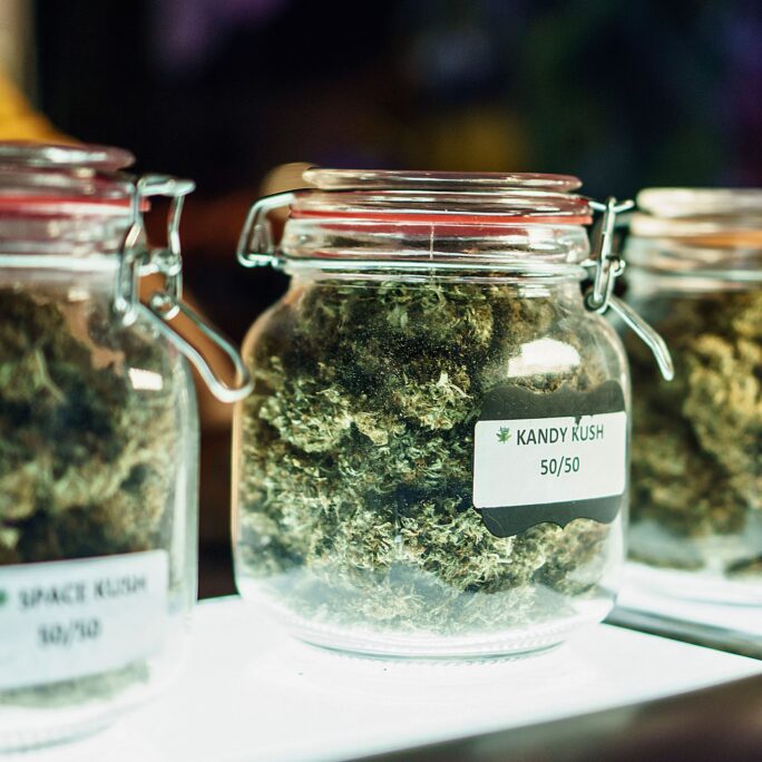 What Is THCA Flower? Your Complete Guide to Hemp Derived THCA 1 THCA Flower jars